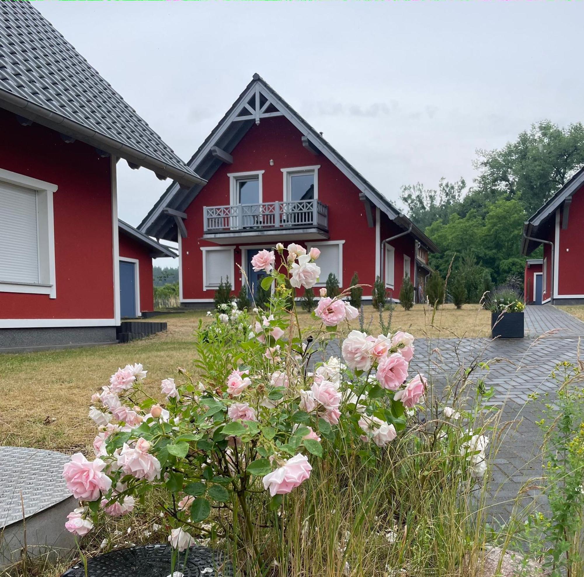 Urlaub Am Plaetlinsee - Haus Odin Wustrow  Екстер'єр фото